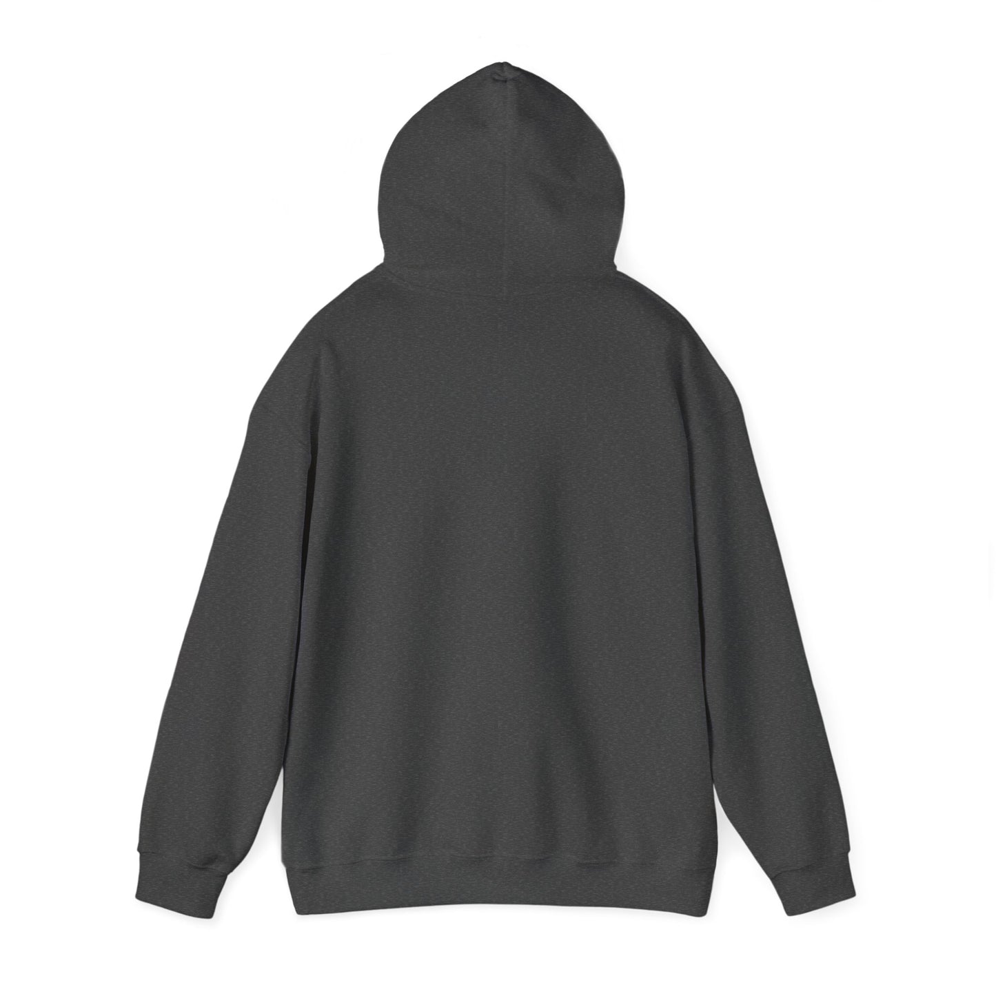 Bison Head American Flag Hooded Sweatshirt