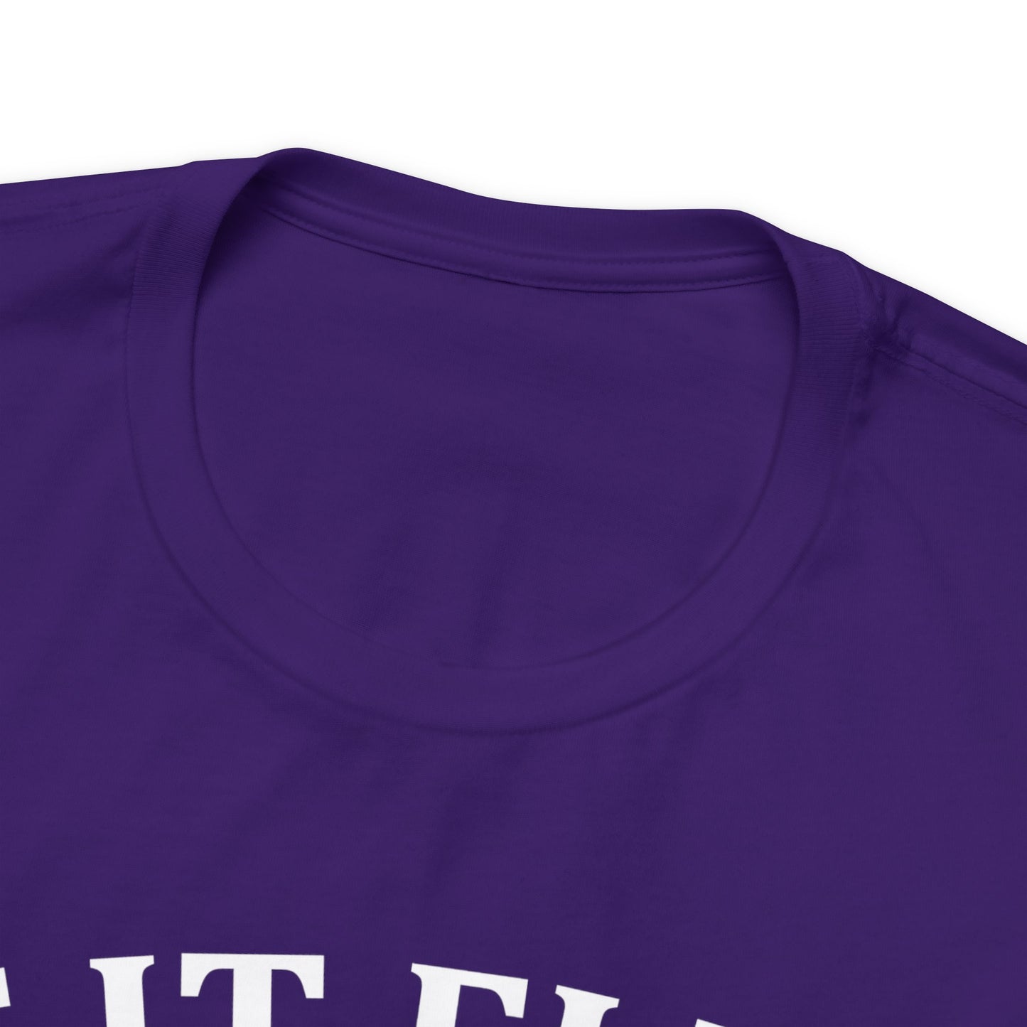 If It Flies It Dies T-Shirt