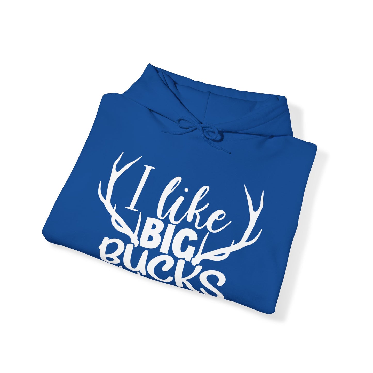 I Like Big Bucks And I Cannot Lie Hooded Sweatshirt