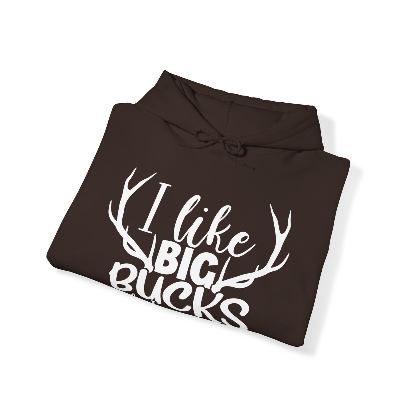 I Like Big Bucks And I Cannot Lie Hooded Sweatshirt