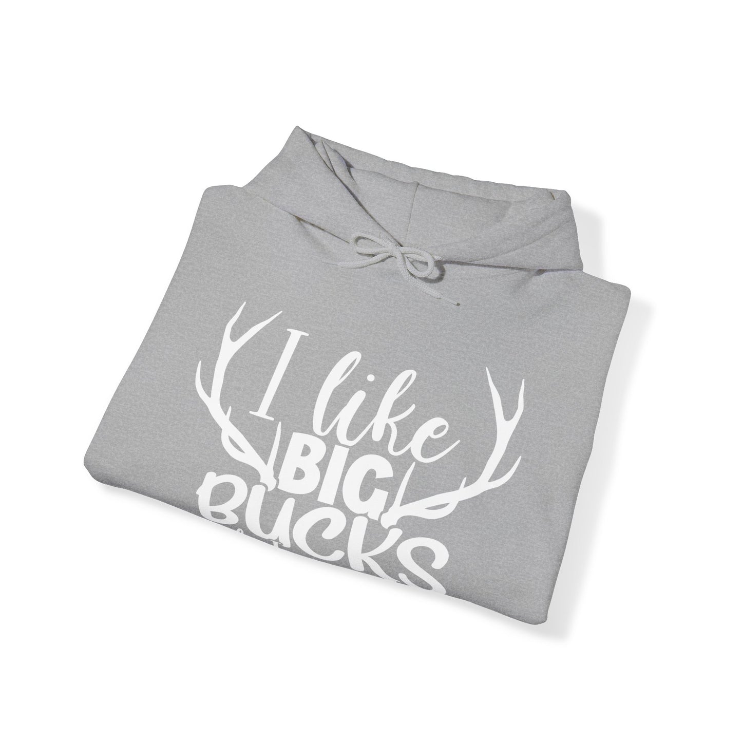 I Like Big Bucks And I Cannot Lie Hooded Sweatshirt