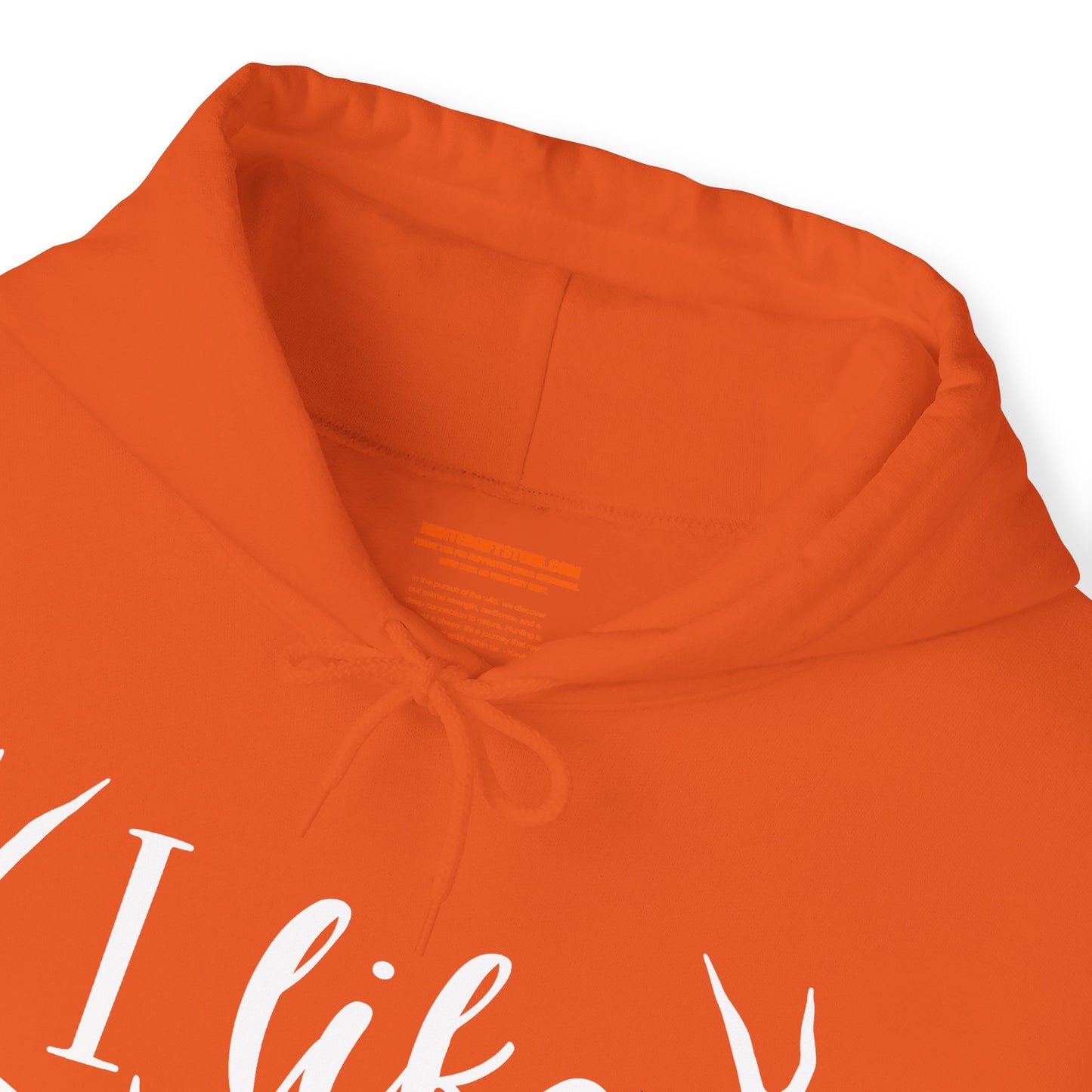 I Like Big Bucks And I Cannot Lie Hooded Sweatshirt